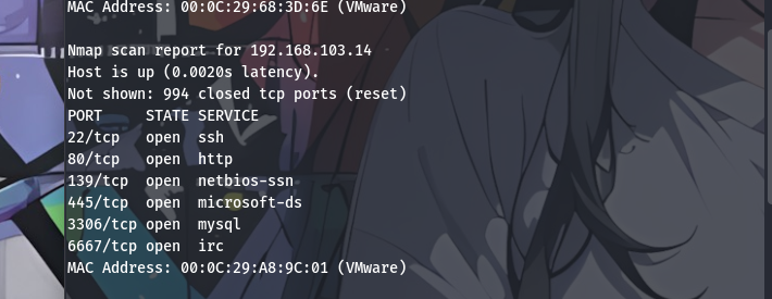 image-20251016202317908