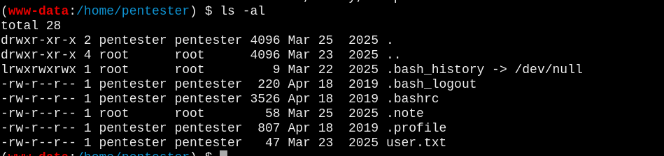 image-20251216184652804