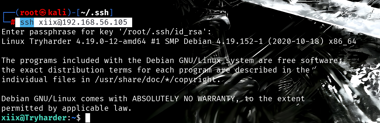 image-20251216205245930