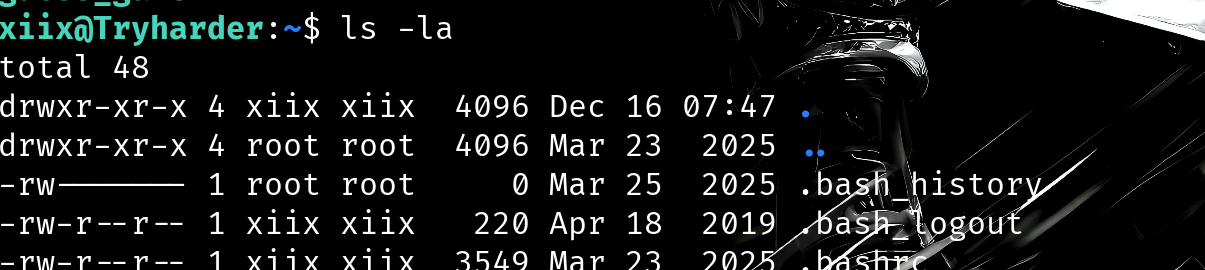 image-20251216205341100