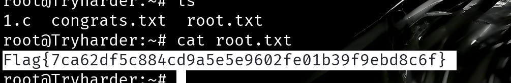 image-20251216211223942